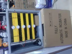 300 Eggs Incubator