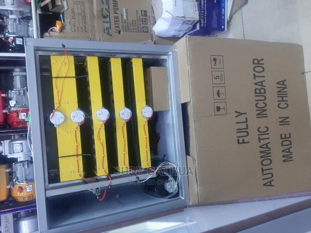 300 Eggs Incubator - main view