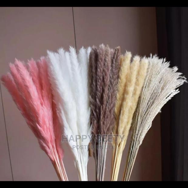 Mini Pampers Grass(Comes as a Bunch of 10pcs)