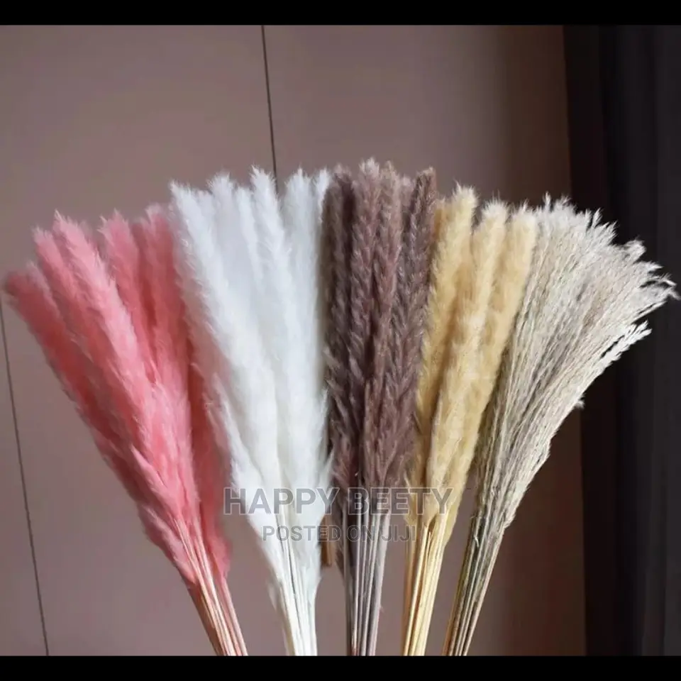Mini Pampers Grass(Comes as a Bunch of 10pcs)