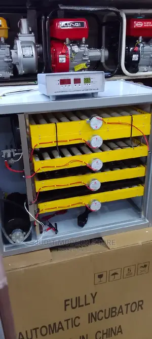 Best Egg Incubator