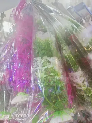 Ornamental Flowers