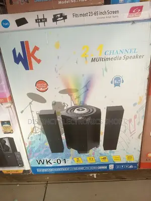 Wk 2.1 Channel Multimedia Speaker