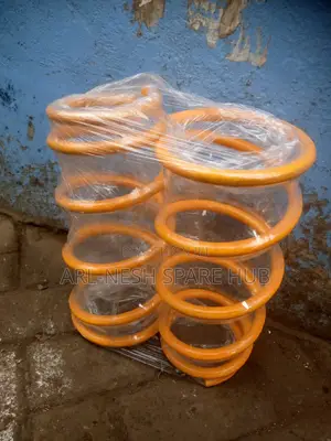 Heavy Duty Coil Springs and Components