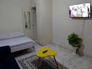 Charming Studio Airbnb TRM Drive Roysambu Thika Road
