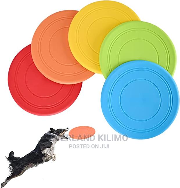 Pet Frisbee Toy - main view