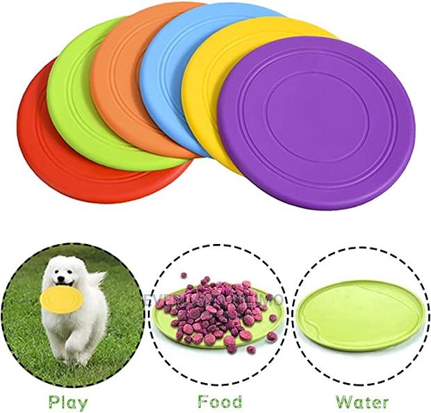 Dog Frisbee - main view