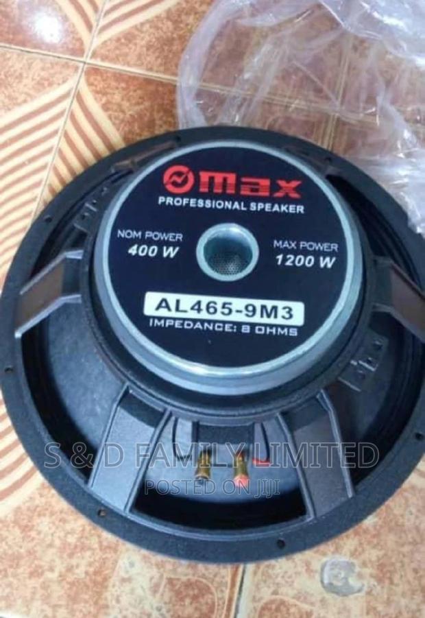 Midrange Naked Speakers Omax 15 Inch