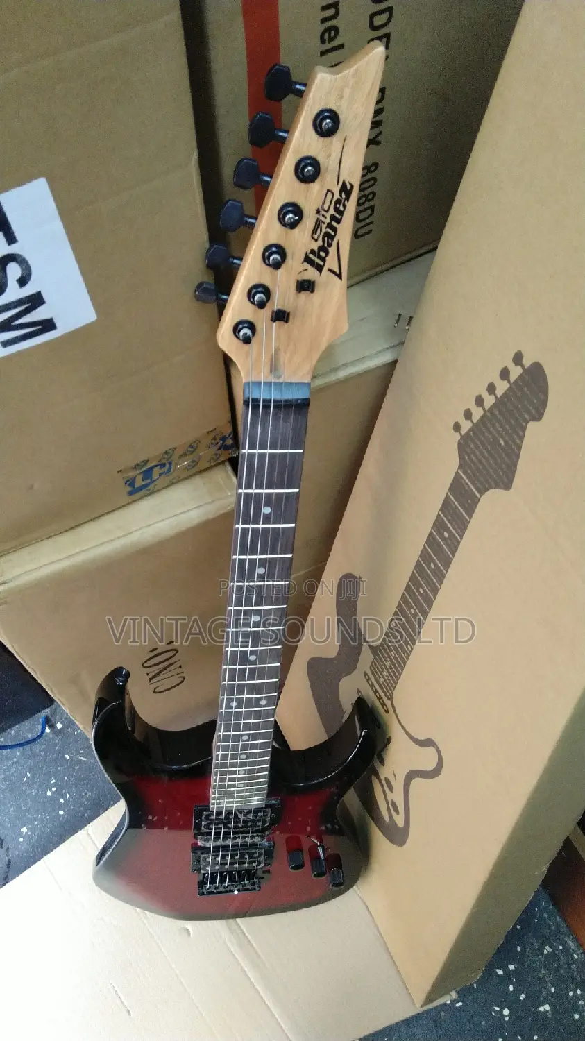Ebanez Electric Guitar