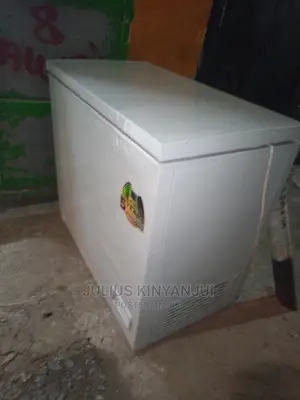 Deep Freezer 250l