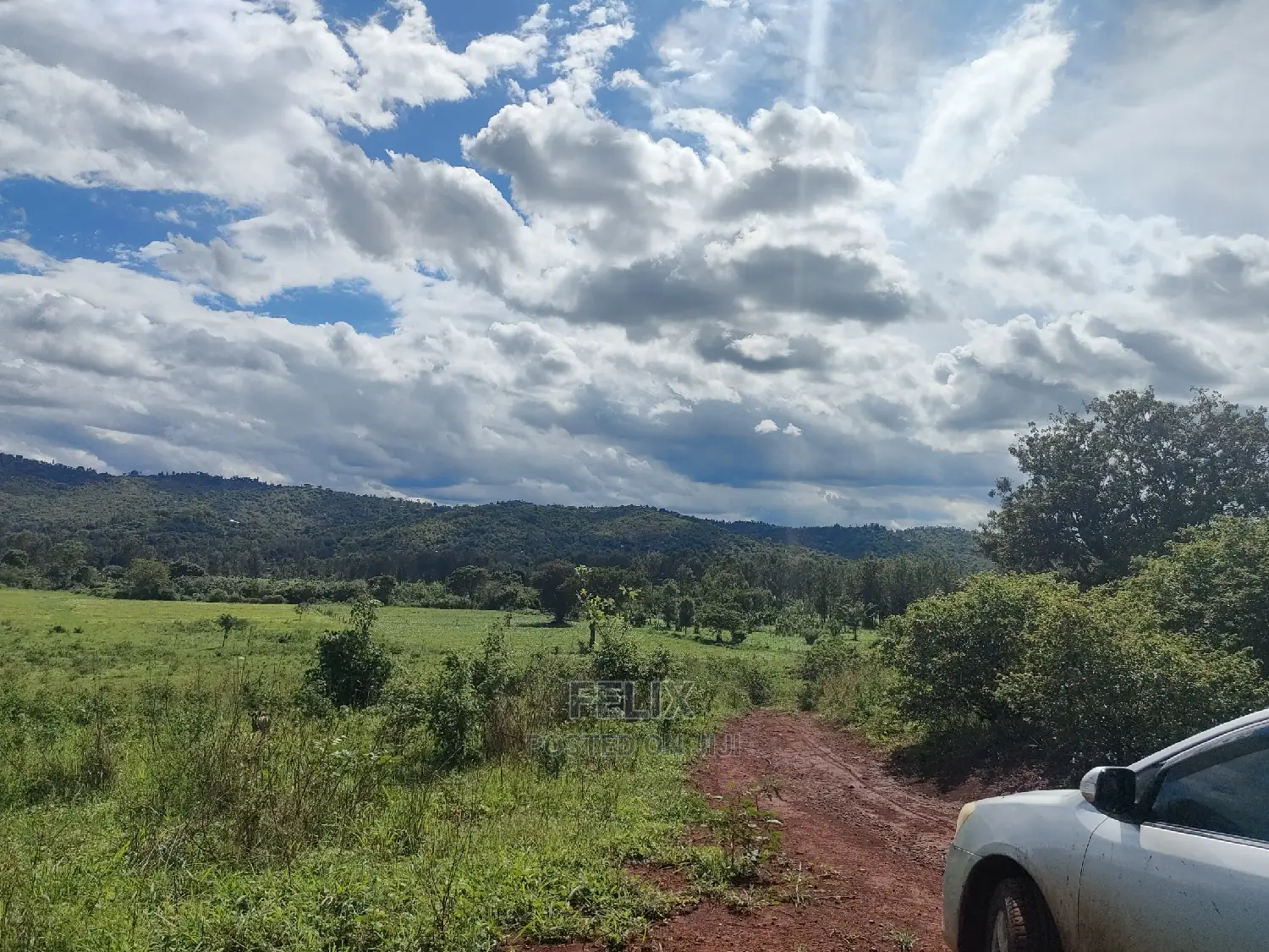 Sagana Town/Kirinyaga 18 Acres