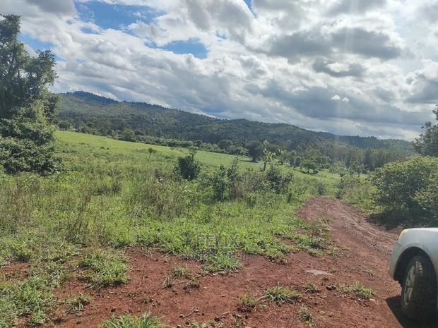 Sagana Town/Kirinyaga 18 Acres - thumbnail 2