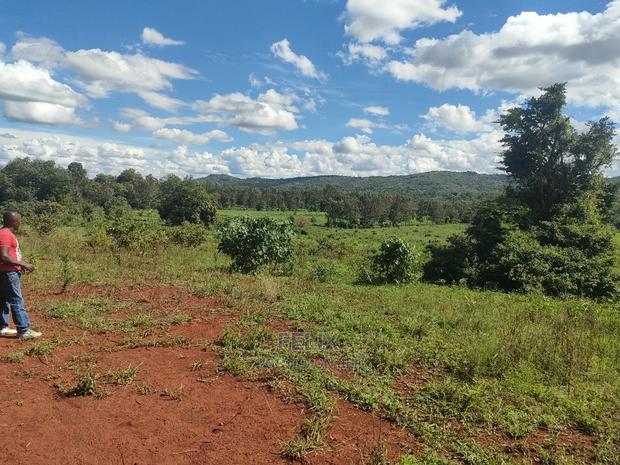 Sagana Town/Kirinyaga 18 Acres - thumbnail 4
