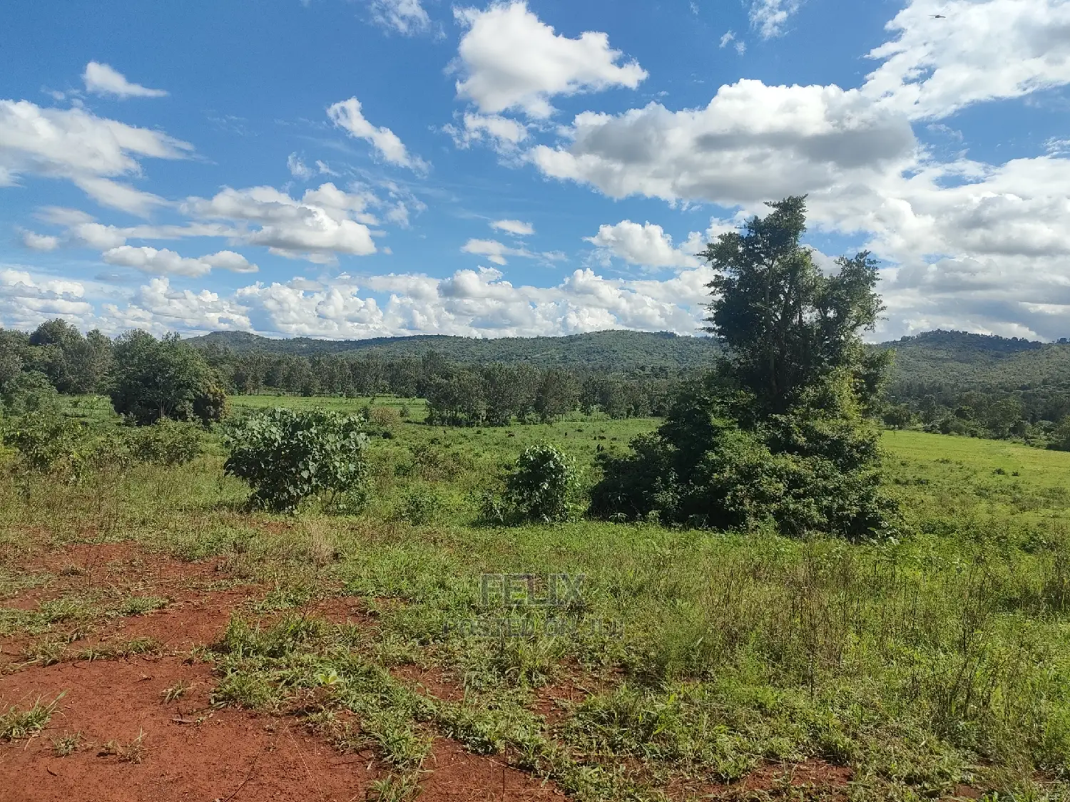 Sagana Town/Kirinyaga 18 Acres