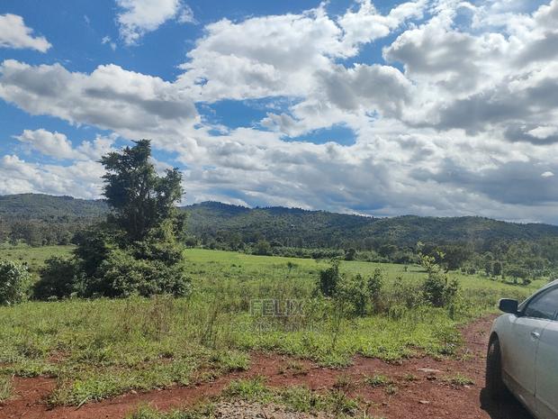 Sagana Town/Kirinyaga 18 Acres - thumbnail 9