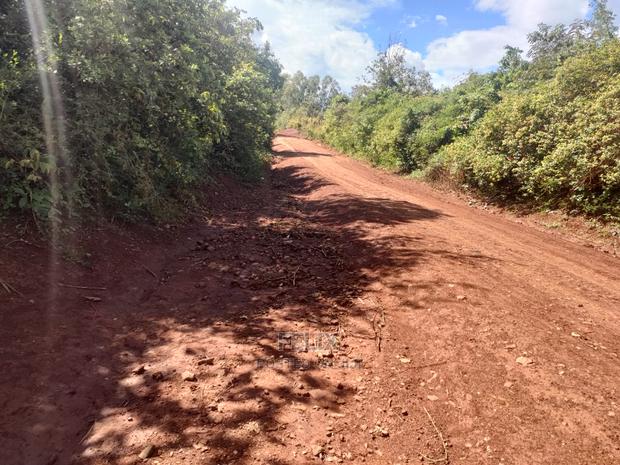 Sagana Town/Kirinyaga 18 Acres - thumbnail 12