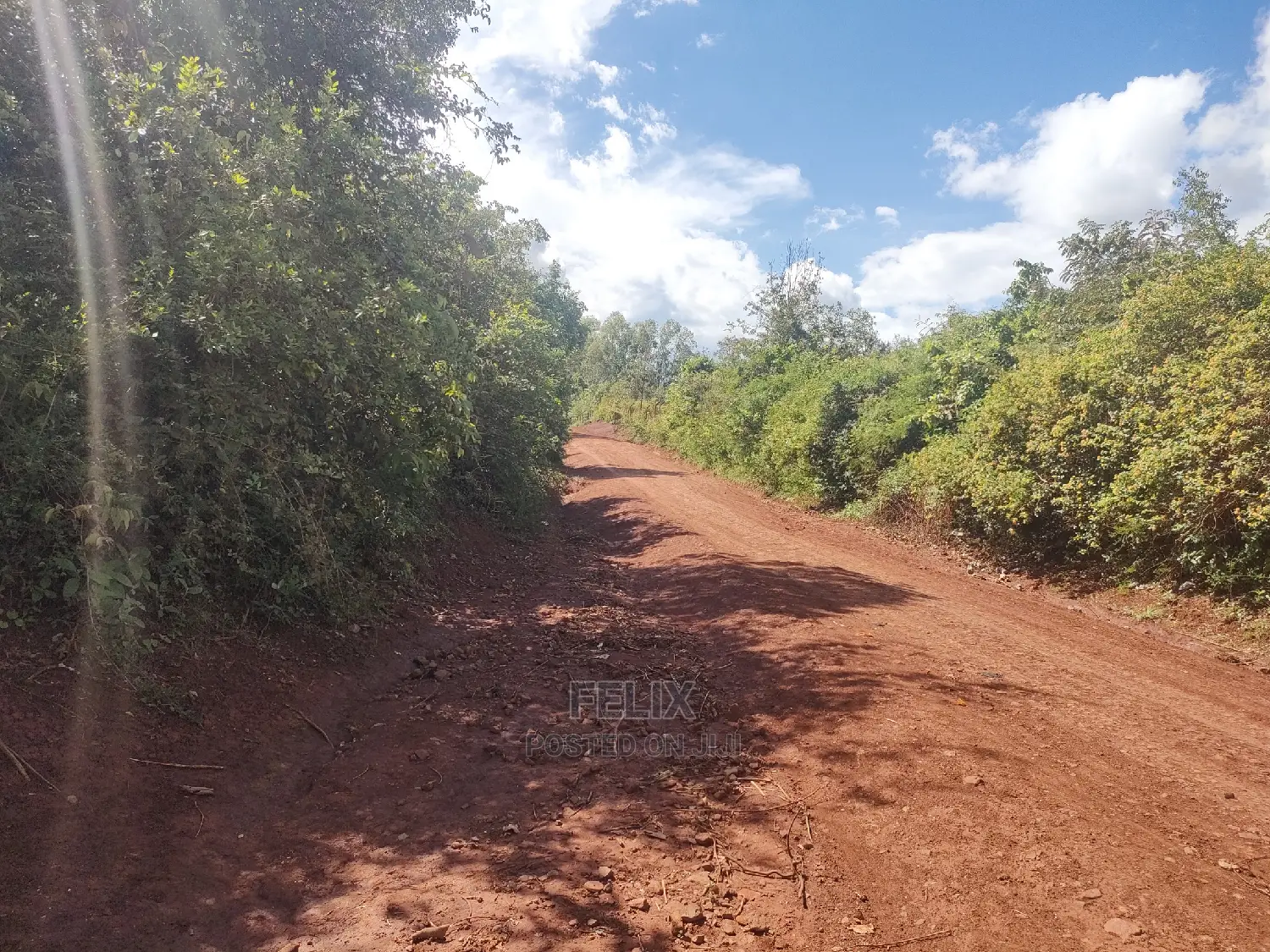 Sagana Town/Kirinyaga 18 Acres