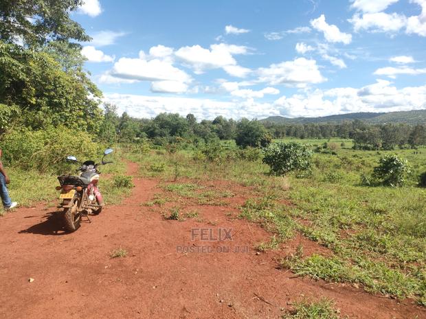 Sagana Town/Kirinyaga 18 Acres - thumbnail 15