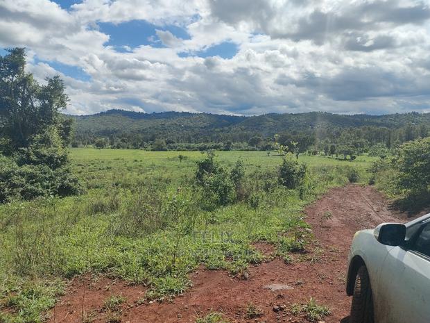 Sagana Town/Kirinyaga 18 Acres - thumbnail 16