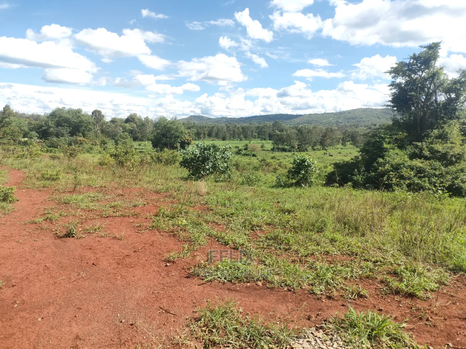 Sagana Town/Kirinyaga 18 Acres