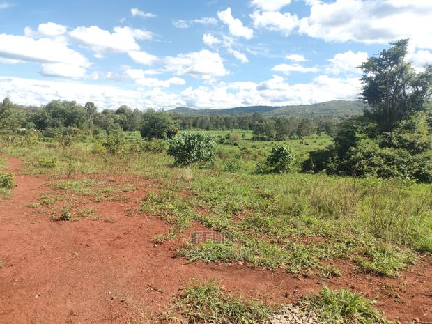 Sagana Town/Kirinyaga 18 Acres - thumbnail 20