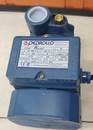 Pedrollo Pkm60 Water Pump