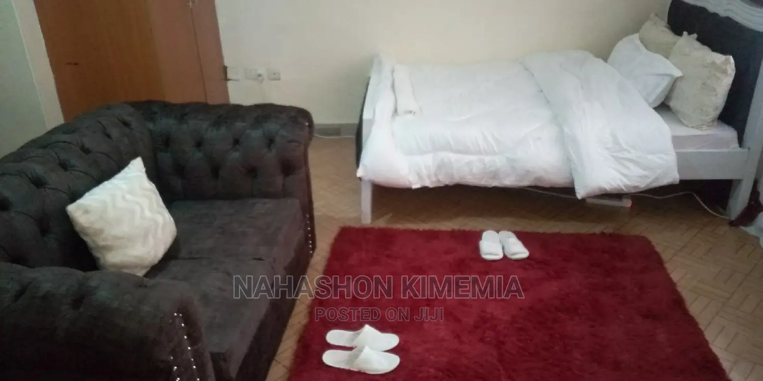 Latest Airbnb Studio TRM Drive Roysambu Thika Road