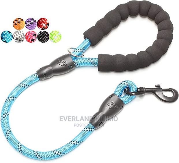 Reflective Dog Nylon Leash - main view