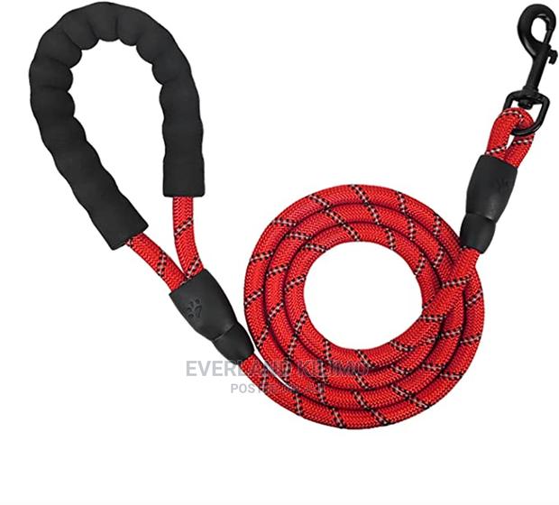 Durable Pet Nylon Leash - main view