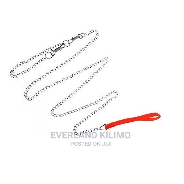 Dog Chain Leash - main view