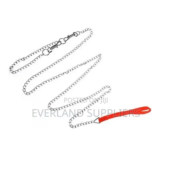 Dog Chain Leash