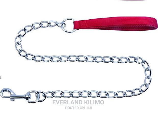 Leash Pet Chain - main view