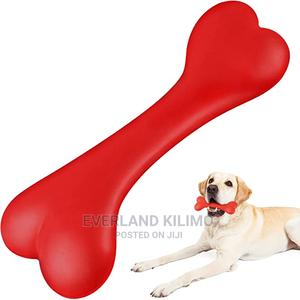 Pet Bone Toy - thumbnail 2