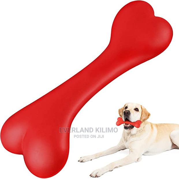 Pet Bone Toy - main view