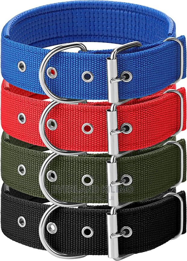 Regular Dog Padded Collar - main view