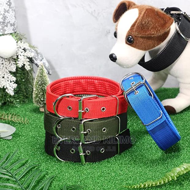 Dog Collar - main view