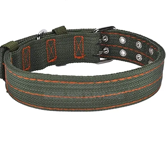 Heavy Duty Dog Collar