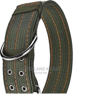 Dog Collar- Canvas Heavy Duty - thumbnail 2