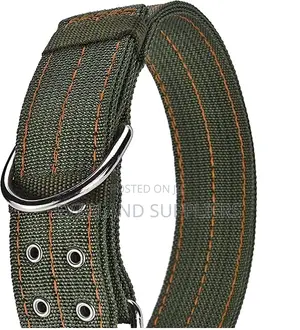 Dog Collar- Canvas Heavy Duty