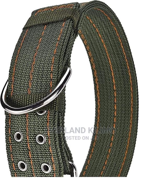 Dog Collar- Canvas Heavy Duty - main view