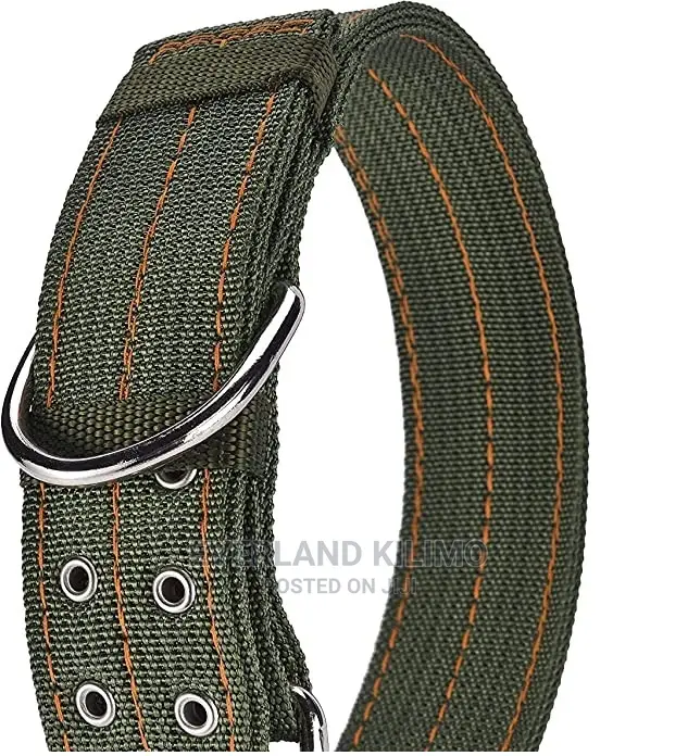 Dog Collar- Canvas Heavy Duty