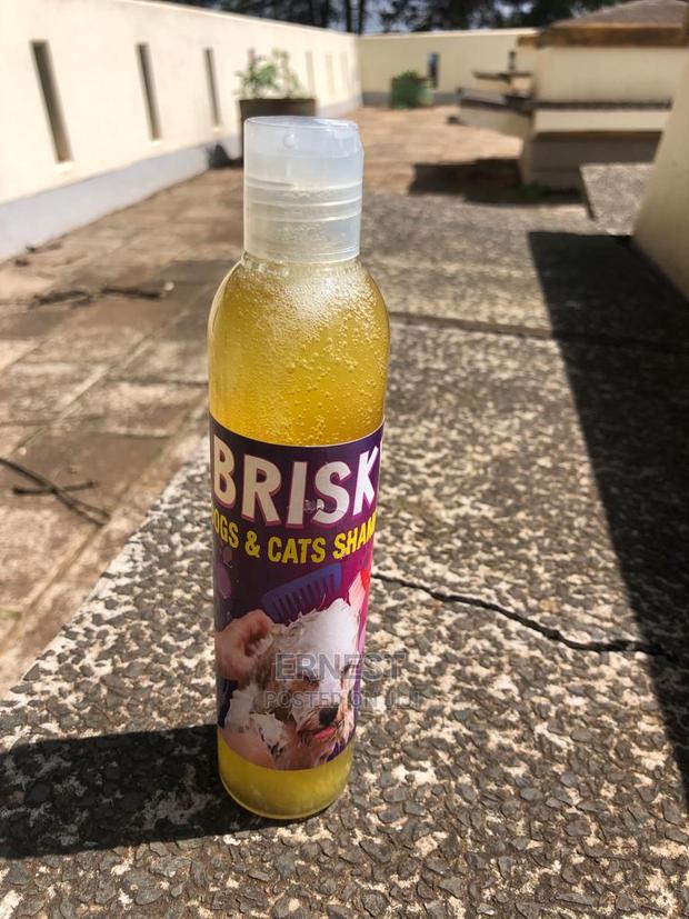 Brisky Dog Cat Shampoo. - thumbnail 7