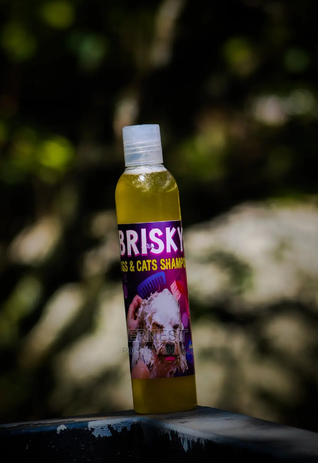 Brisky Dog Cat Shampoo.