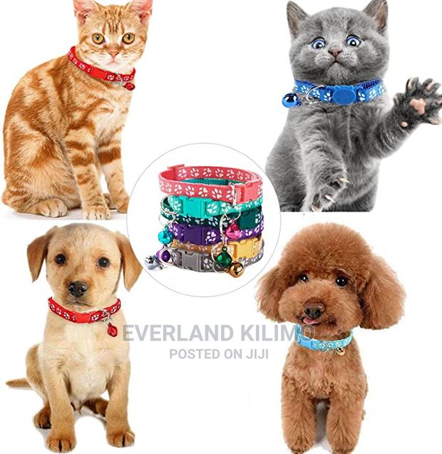 Cat/Dog Collar - main view