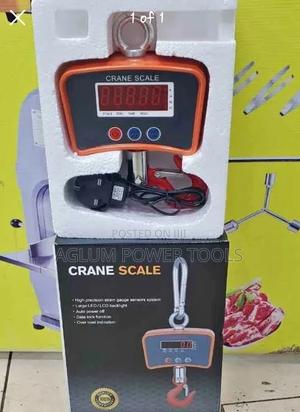 500kg Crane Scale - thumbnail 2