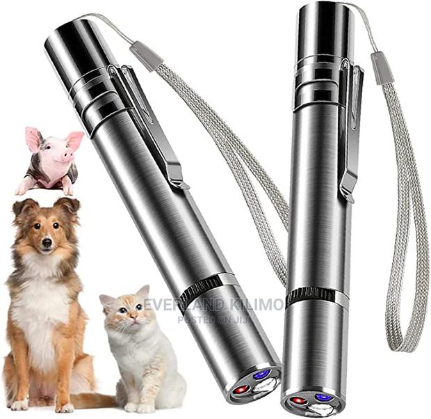 3 in 1 Pet Laser Toy - main view