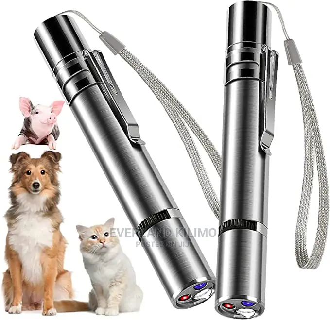 3 in 1 Pet Laser Toy