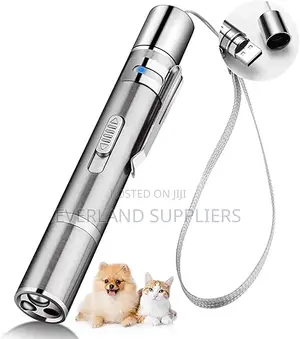 Pet Laser Toy- Rechargeable