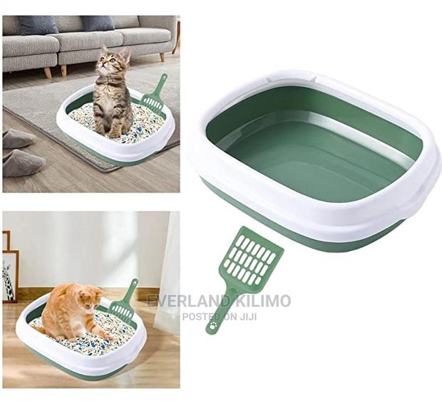 Litter Box- Cat - main view