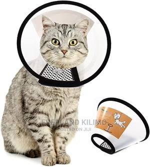 Elizabethan Cat Collar - thumbnail 2